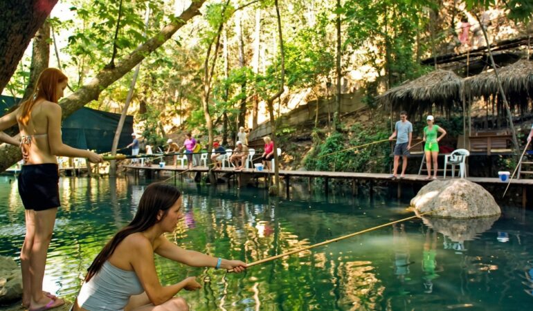 Fishing & Picnic Tour